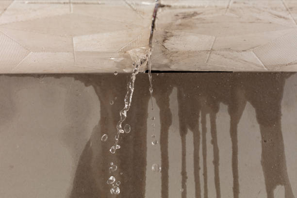 Professional Burst Pipe Cleanup technician working in Chicora, PA